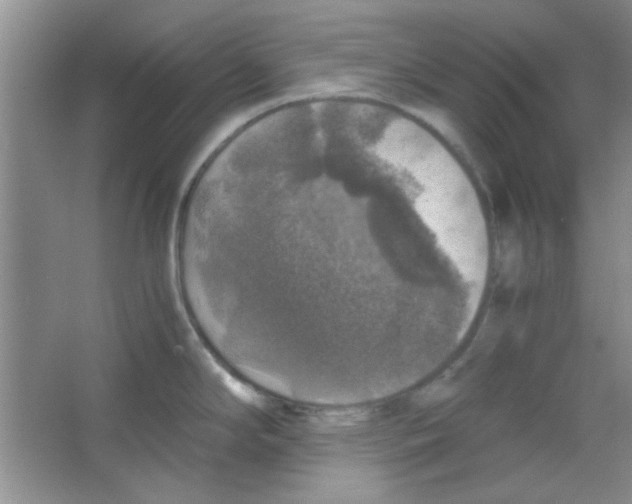 X0000063461294200602171916