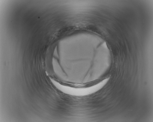 X0000063461298200602171915