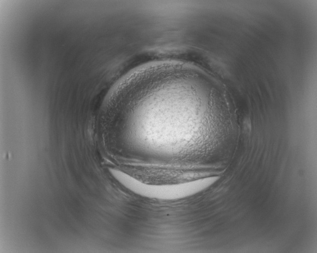 X0000063461300200602171915
