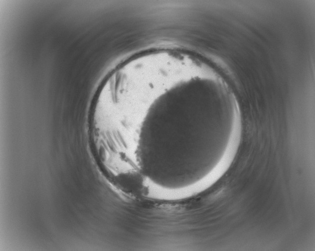 X0000063461327200602171916