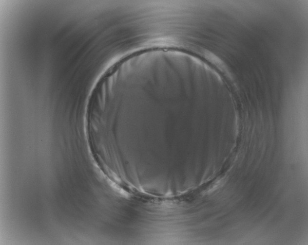 X0000063461334200602171916