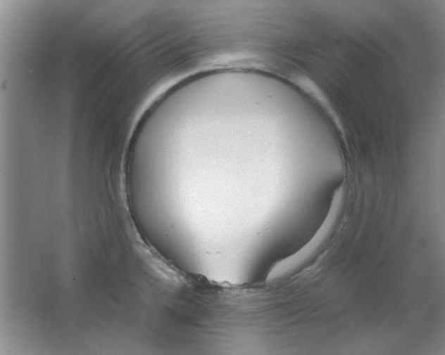 X0000063461336200602171916