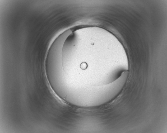 X0000063461344200602171916