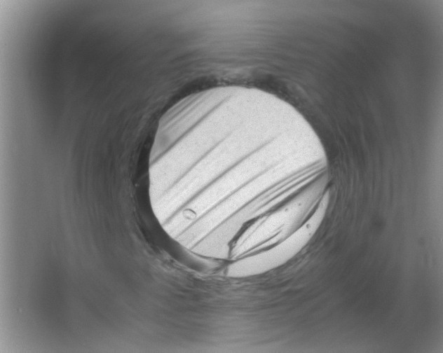 X0000063461345200602171915