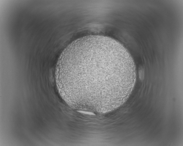 X0000063461347200602171915