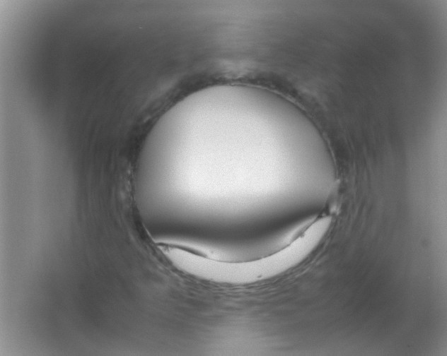 X0000063461349200602171915