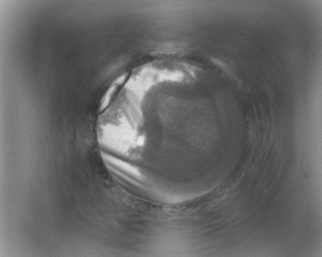 X0000063461350200602171915