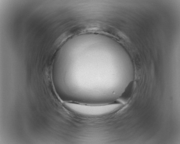 X0000063461353200602171915