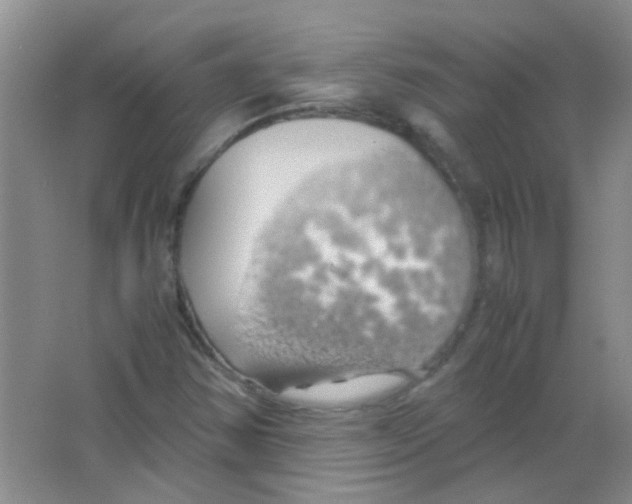 X0000063461354200602171915