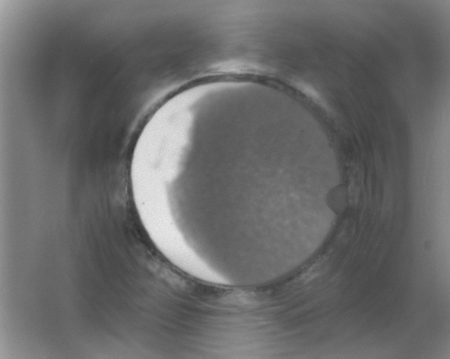 X0000063461358200602171915