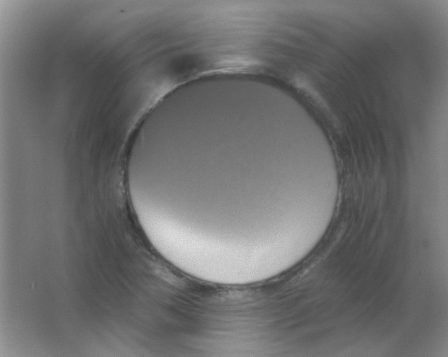 X0000063461362200602171915