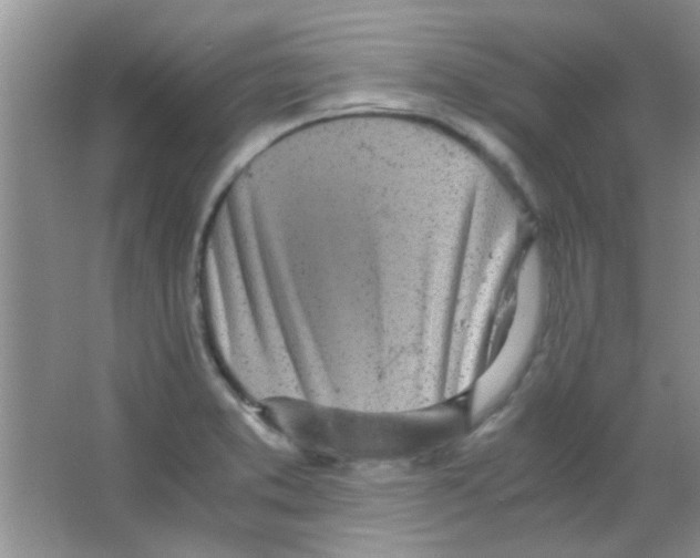 X0000063461373200602171915