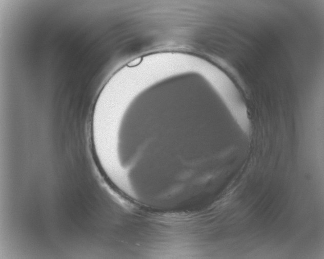 X0000063461383200602171914