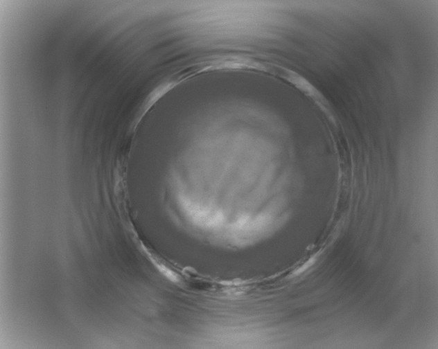 X0000063461385200602171914