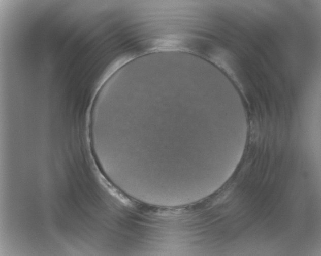 X0000063461386200602171914