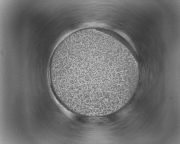 X0000063461391200602171914