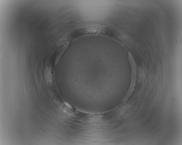 X0000063461394200602171913