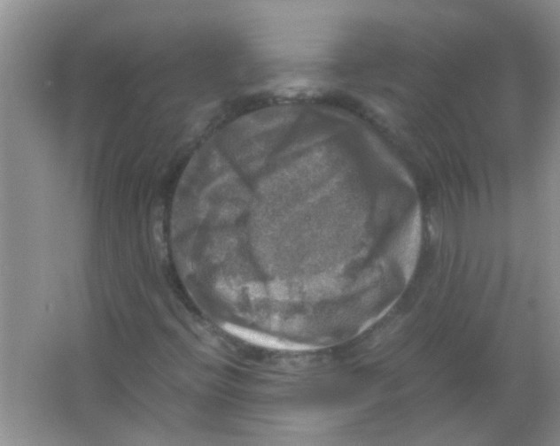 X0000063461396200602171913