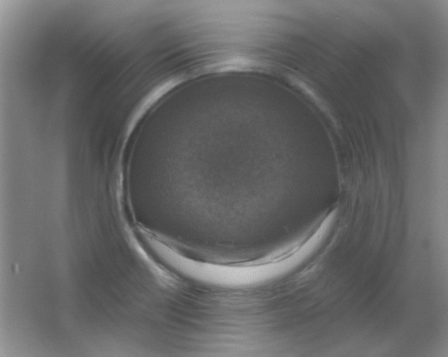 X0000063461418200602171914
