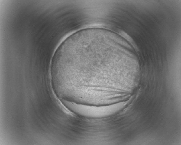 X0000063461436200602171914