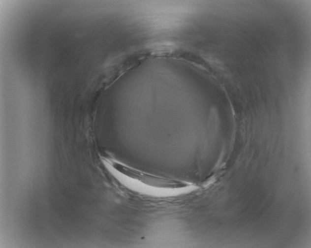 X0000063461445200602171913