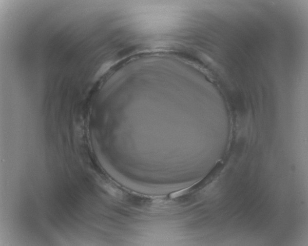 X0000063461449200602171913