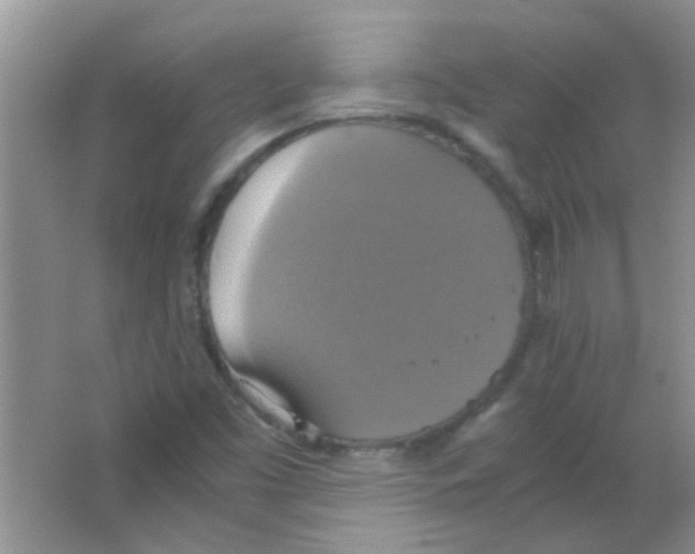 X0000063461453200602171913