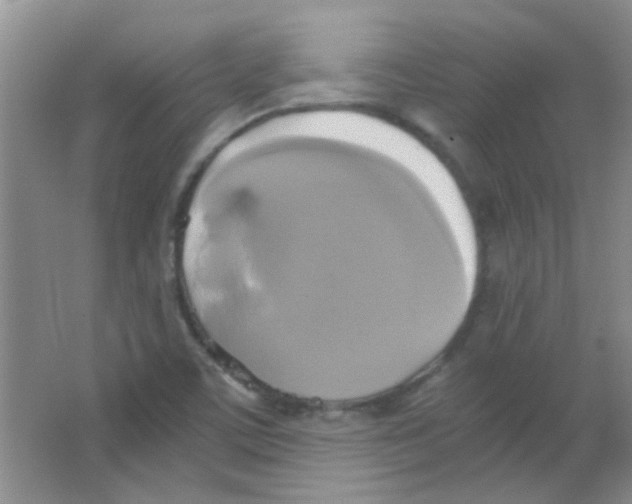 X0000063461459200602171913
