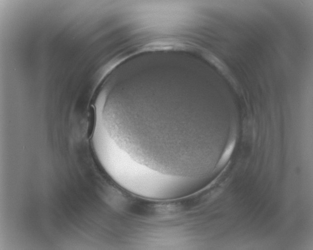 X0000063461465200602171913