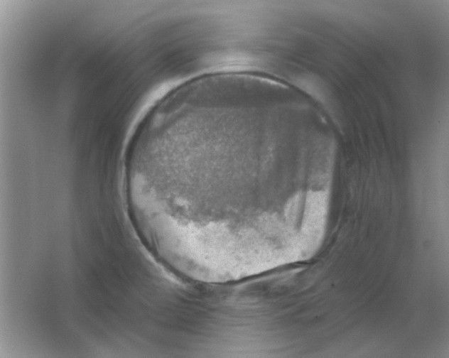 X0000063461472200602171913