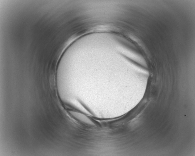 X0000063461473200602171913