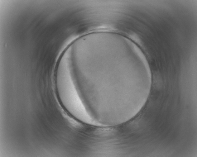 X0000063461474200602171913