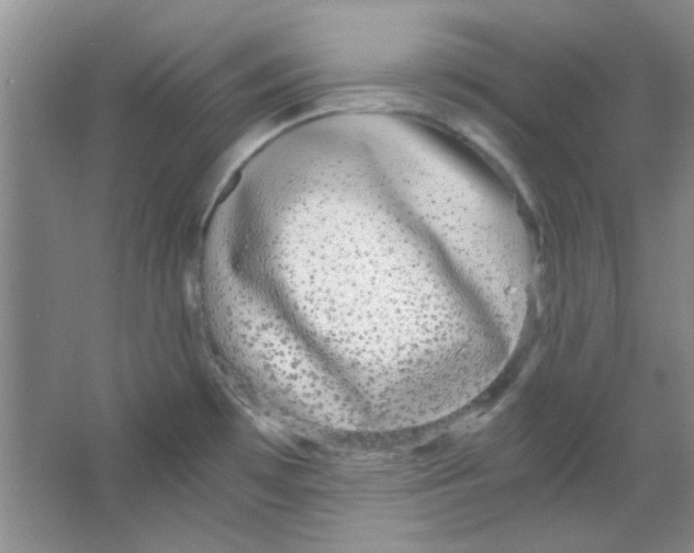 X0000063461481200602171913