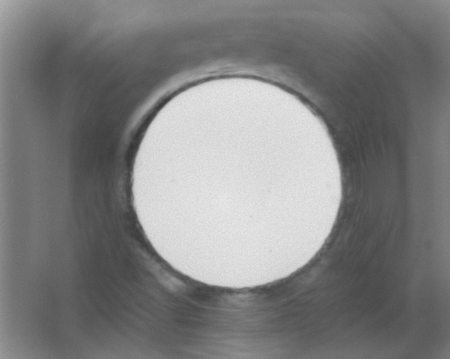 X0000063461502200602171912