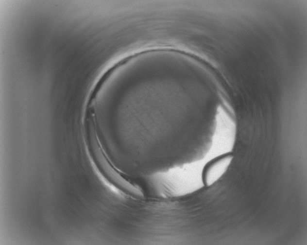 X0000063461519200602171912