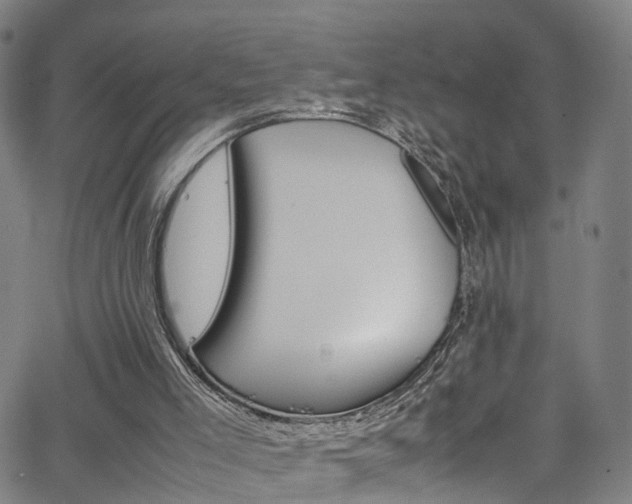 X0000063470005200601201007