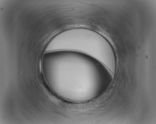 X0000063470013200601201007