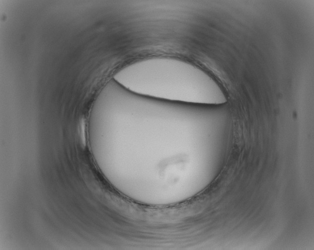 X0000063470022200601201006