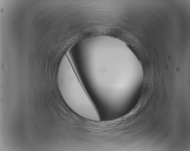 X0000063470045200601201006