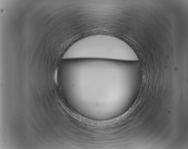 X0000063470047200601201006