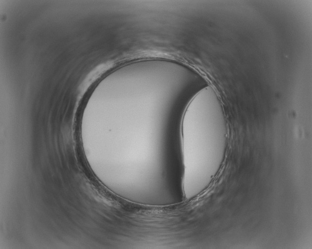 X0000063470104200601201005