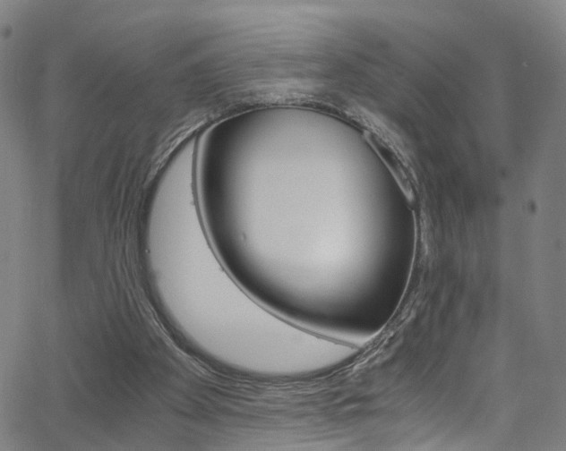 X0000063470105200601201005