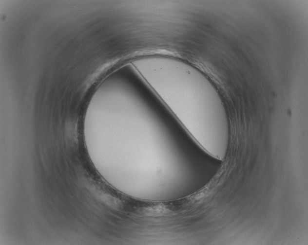 X0000063470112200601201005