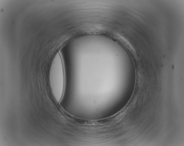 X0000063470113200601201005