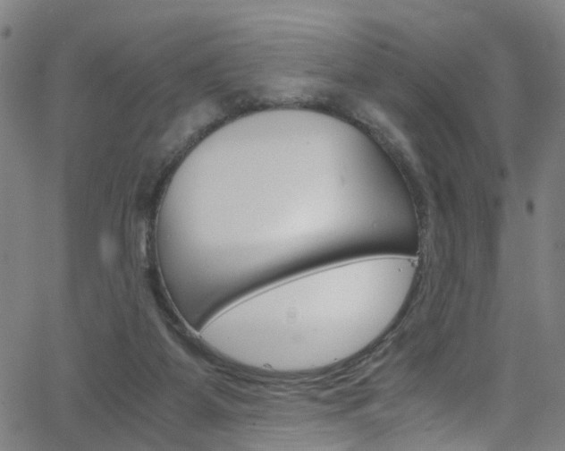X0000063470115200601201005