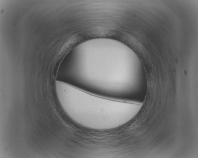 X0000063470119200601201005