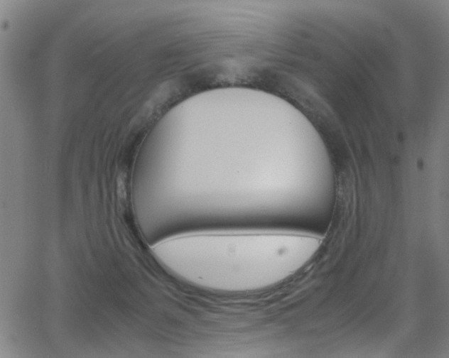 X0000063470127200601201005