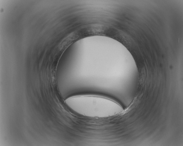 X0000063470140200601201004