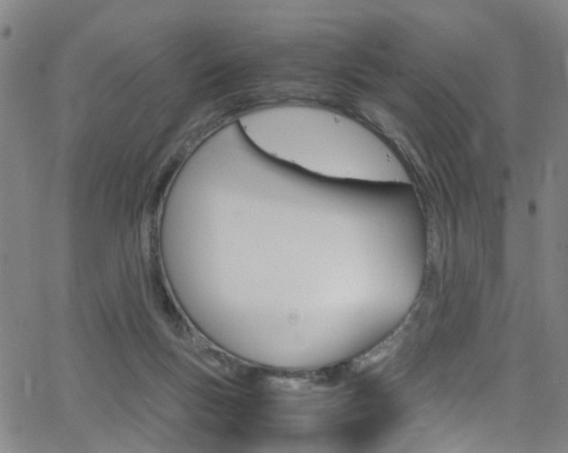 X0000063470167200601201004