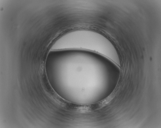X0000063470168200601201004